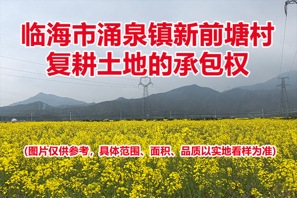 临海市涌泉镇新前塘村复耕土地的承包权